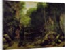 Le well-noir, Doubs by Gustave Courbet