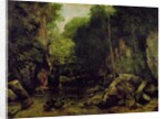 Le well-noir, Doubs by Gustave Courbet