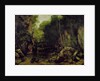 Le well-noir, Doubs by Gustave Courbet