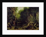Le well-noir, Doubs by Gustave Courbet