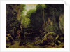 Le well-noir, Doubs by Gustave Courbet