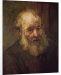 Head of an Old Man, c.1650 by Rembrandt Harmensz. van Rijn