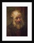 Head of an Old Man, c.1650 by Rembrandt Harmensz. van Rijn