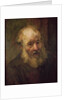Head of an Old Man, c.1650 by Rembrandt Harmensz. van Rijn