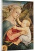 Virgin and Child, c.1465 by Fra Filippo Lippi