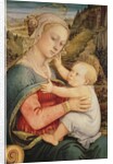 Virgin and Child, c.1465 by Fra Filippo Lippi