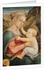 Virgin and Child, c.1465 by Fra Filippo Lippi