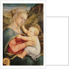 Virgin and Child, c.1465 by Fra Filippo Lippi