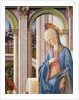 The Annunciation, detail of the Virgin Mary by Fra Filippo Lippi