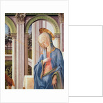 The Annunciation, detail of the Virgin Mary by Fra Filippo Lippi