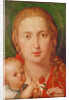 Madonna of the Carnation, 1516 by Albrecht Dürer or Duerer
