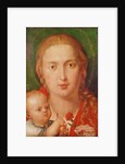 Madonna of the Carnation, 1516 by Albrecht Dürer or Duerer