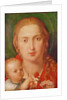 Madonna of the Carnation, 1516 by Albrecht Dürer or Duerer