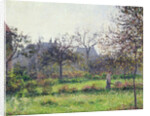 Morning Sun, Autumn, Eragny, 1897 by Camille Pissarro