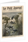 A Terrible Accident in the Alps by Henri Meyer