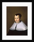 Portrait of a Woman by Michiel Jansz. van Miereveld