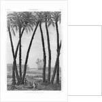 View of the ruins of Memphis seen from the south east by Andre Dutertre