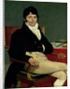 Philibert Riviere 1805 by Jean Auguste Dominique Ingres