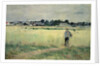 In the Wheatfield at Gennevilliers, 1875 by Berthe Morisot
