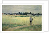 In the Wheatfield at Gennevilliers, 1875 by Berthe Morisot