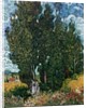 The cypresses, c.1889-90 by Vincent van Gogh