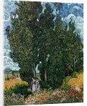 The cypresses, c.1889-90 by Vincent van Gogh