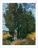 The cypresses, c.1889-90 by Vincent van Gogh