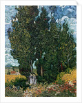 The cypresses, c.1889-90 by Vincent van Gogh