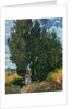 The cypresses, c.1889-90 by Vincent van Gogh