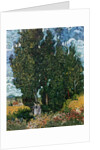 The cypresses, c.1889-90 by Vincent van Gogh