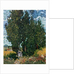 The cypresses, c.1889-90 by Vincent van Gogh