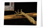 Crucifixion from the Isenheim Altarpiece by Matthias Grunewald