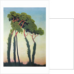 Landscape with Trees, 1911 by Felix Edouard Vallotton