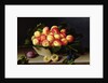 Basket of Apricots, 1634 by Louise Moillon