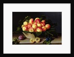 Basket of Apricots, 1634 by Louise Moillon