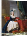 Marie-Antoinette, 1788 by Elisabeth Louise Vigee-Lebrun