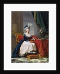 Marie-Antoinette, 1788 by Elisabeth Louise Vigee-Lebrun
