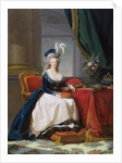 Marie-Antoinette, 1788 by Elisabeth Louise Vigee-Lebrun