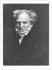 Arthur Schopenhauer by Franz Seraph von Lenbach