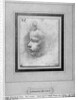 Head of a child by Leonardo da Vinci