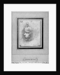 Head of a child by Leonardo da Vinci