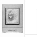 Head of a child by Leonardo da Vinci