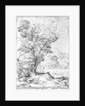 Wooded landscape by Agostino Carracci
