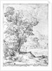 Wooded landscape by Agostino Carracci
