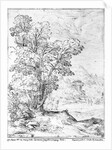 Wooded landscape by Agostino Carracci