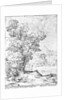 Wooded landscape by Agostino Carracci