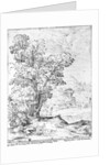 Wooded landscape by Agostino Carracci