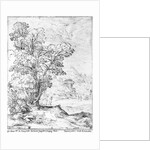 Wooded landscape by Agostino Carracci