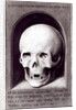 Skull by Hans Memling