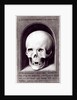 Skull by Hans Memling
